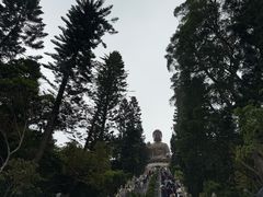 -宝莲禅寺