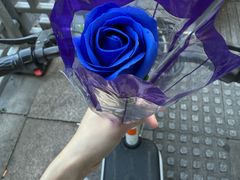 -小潘记鸭血粉丝汤