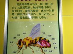 -上海昆虫博物馆