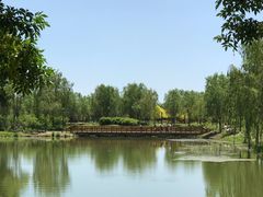-东郊湿地公园
