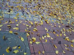 -西南政法大学(渝北校区)