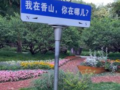 -香山公园