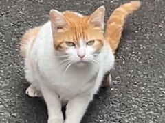 -水秀坊·足道 SPA 按摩(巨鹿路店)