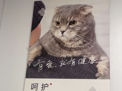 -艾贝尔宠物医院 ·中兽医·宠保定点(北门桥店)