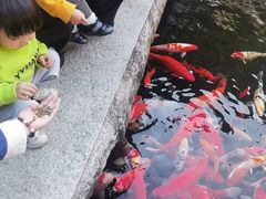 -径山寺