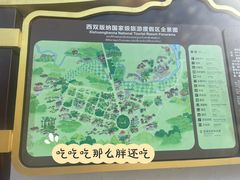 -西双版纳勐泐文化旅游区