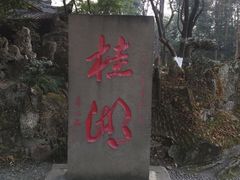 -桂湖森林公园