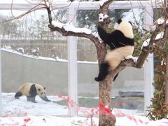 -西安秦岭野生动物园