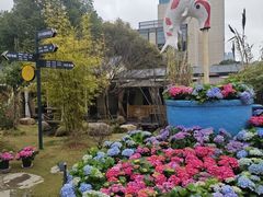 -湘力力小院·鱼汤泡饭(枫林路店)