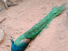 -昆明动物园