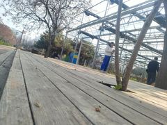 -洛阳市隋唐城遗址植物园