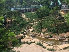 -大连森林动物园