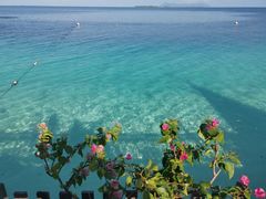 -马达京岛