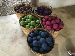 -大象粑粑造纸公园