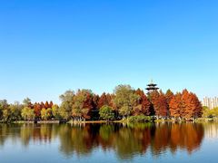 -洋湖国家湿地公园