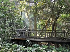 -杭州半山国家森林公园