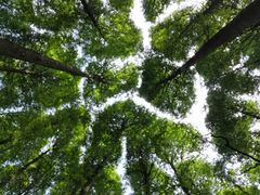 -山王坪喀斯特国家生态公园