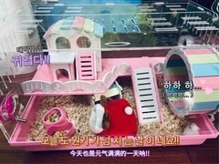 -双季花艺园艺市场(浦东店)