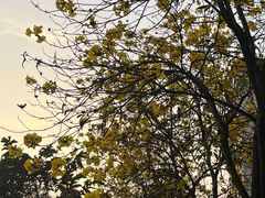 -潘塘公园