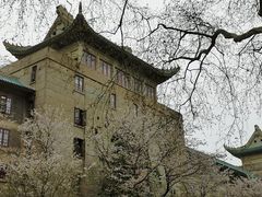 -武汉大学-樱园