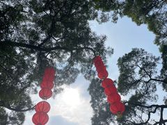 -广州市白云山风景名胜区