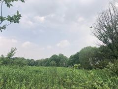 -西湖风景区-江洋畈生态公园