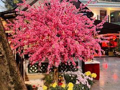 -侨美·唐荔园·40年地道粤菜