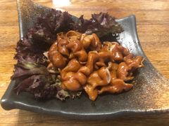 -旅马餐厅(茅家埠店)