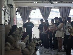 -星多哈·狗咖·拼豆·咖啡