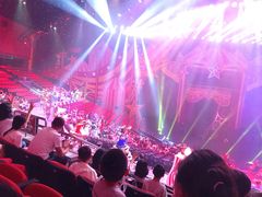 -珠海横琴长隆《卡卡虎奇遇记》