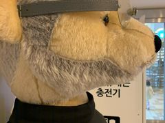 -济州岛泰迪熊博物馆