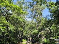 -玉渡山自然风景区