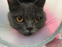 -荔康动物医院(康王北路店)