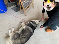 -光头佬室内钓虾场·烧烤·团建·亲子(中山八路店)