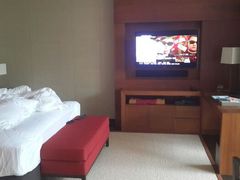 android_upload_pic-海南清水湾莱佛士酒店