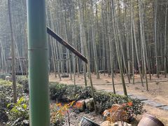 -陶祖圣境风景区