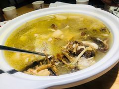 -滇铺子·云南特色菜·第九届野生菌美食节(东风东路c86店)