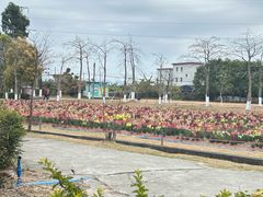 -广东花都香草世界旅游度假区