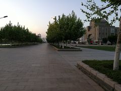 -南开大学滨海学院