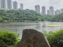 -重庆彩云湖湿地公园