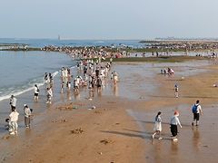 -日照灯塔风景区