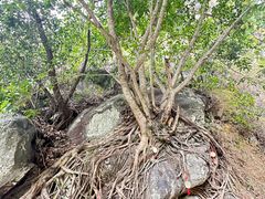 -苍山世界地质公园·石门关大峡谷