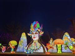 -武清南湖绿博园