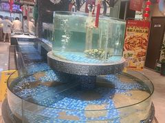 -海派美食·家宴海鲜青岛菜·石锅鲽鱼头(东方城店)