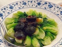 -上海和平饭店龙凤厅 Dragon Phoenix