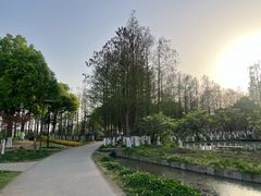 -乌村