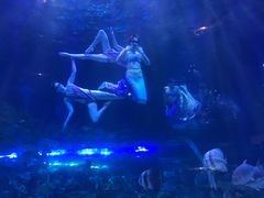 -华夏文旅海洋公园