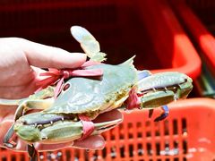 -巽寮印象美食部落餐厅·海鲜·地方特色菜(惠州体验店)