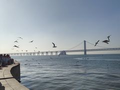 -星海广场