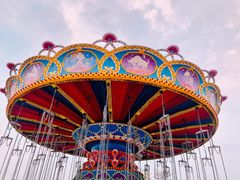 -大信·云顶星河游乐王国